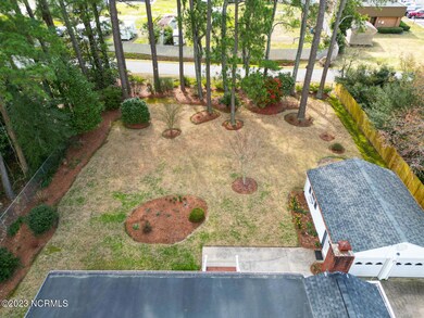 Manicured Backyard