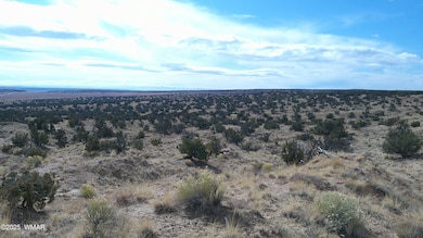 DSCF0025