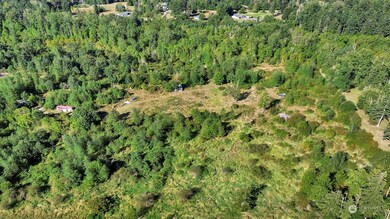 31208 Lebor Devore Rd E, Eatonville, WA 98328 - photo 5