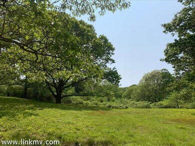 36 High Meadow, Chilmark, MA 02535 - photo 3