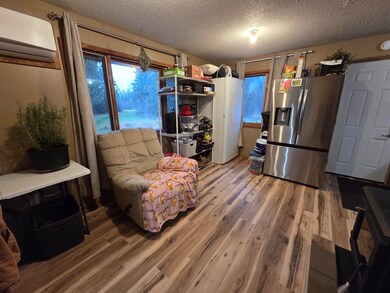 6821 Barrett Rd, Chisholm, MN 55719 - photo 4