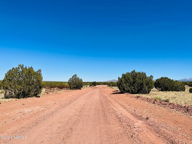 6868 Lasso Loop Photo 4