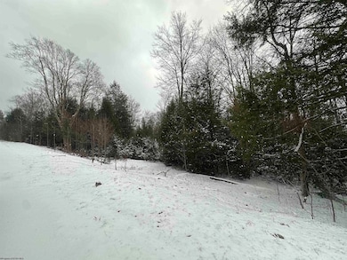 Lot 86 Gondola Ct, Davis, WV 26260 - photo 3