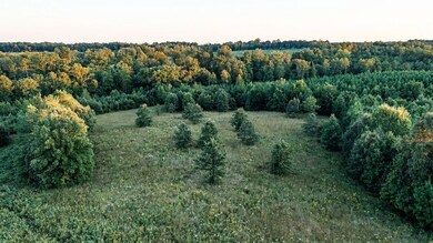 0 Grandview Ln unit LotWP001, Buckingham, VA 23921 - photo 5