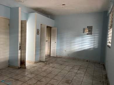 111RD Bo Pueblo Km 2 61 Lares Pr 00669, Lares, PR 00669 - photo 4