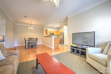 524 Appeldoorn Cir, Asheville, NC 28803 - photo 6