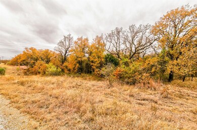 5 AC Bishop Dr, Weatherford, TX 76088 - photo 5