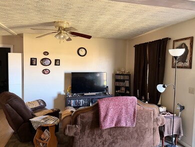 344 E Noel Dr, Cadiz, KY 42211 - photo 3