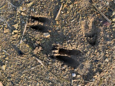 Photo Jan 16, 4 15 31 PM