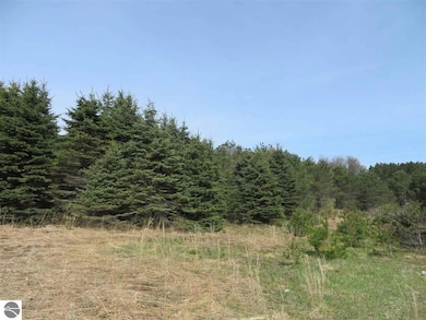 1 Spruce Hollow Trace, Fife Lake, MI 49633 - photo 5