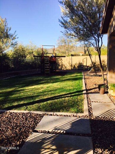 backyard 3