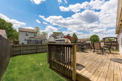 Back Yard & Deck