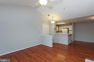 4401 Silverbrook Ln unit B301, Owings Mills, MD 21117 - photo 5