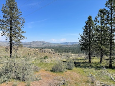 2 Hart Rd N, Davenport, WA 99122 - photo 3