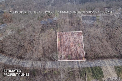 6110 Shenandoah Dr, Raintree Plantation, MO 63050 - photo 7