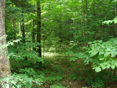 0 Old Gravity Rd unit PWB153139, Wayne County, PA 18436 - photo 5