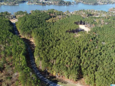 Lot 221 Shore Side Ln, Sylacauga, AL 35151 - photo 7