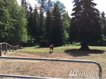 25411 Ebey Mountain Rd, Arlington, WA 98223 - photo 3