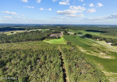 2835 Pikeville-Princeton Rd, Pikeville, NC 27863 - photo 7