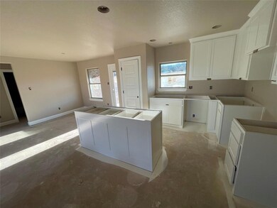 113 Walnut Ln, Weatherford, TX 76087 - photo 4