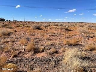 4286 Well Field