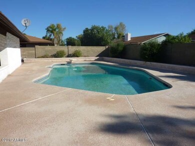 Backyard & Pool