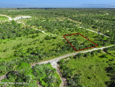 1313 Magic St SW, Palm Bay, FL 32908 - photo 4