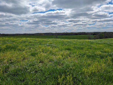 29592 McGruder Creek Rd, Leon, IA 50144 - photo 4