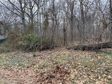 0 Billingsley Dr, Bella Vista, AR 72715 - photo 5