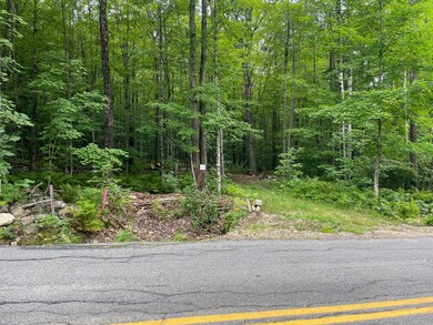 lot 9 Roxbury Rd, Meredith, NH 03253 - photo 5