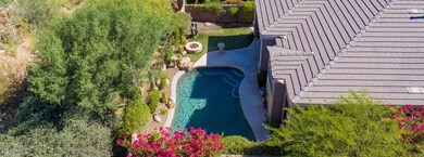 Nicest Backyard