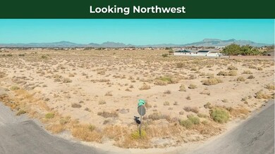 2730 S Olvido Ave, Pahrump, NV 89048 - photo 4