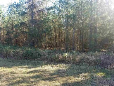 0000 SW Cherrywood Way, Lake City, FL 32025 - photo 4