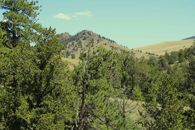 0 State Hwy unit 9 24653908, Guffey, CO 80820 - photo 4