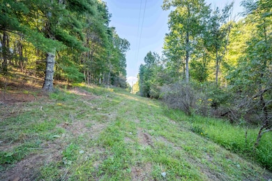 1287 Cox Store Rd SW, Floyd, VA 24091 - photo 4