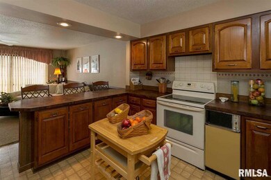 1227 W 46th St, Davenport, IA 52806 - photo 6