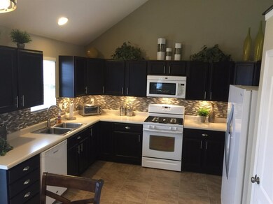 10308 Snead St, Crown Point, IN 46307 - photo 4