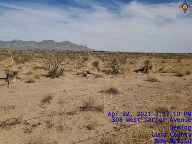 00 Avenura Rd SE, Deming, NM 88030 - photo 5