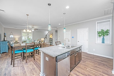 493NelliefieldTrail0018