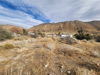 0 California 138, Phelan, CA 92371 - photo 4