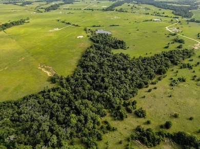 165 Acres Turner Ln, Franklin, TX 77856 - photo 2