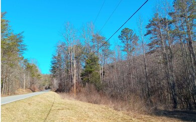 Additional View