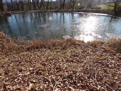 133 Crystal Dr, Lucasville, OH 45648 - photo 5