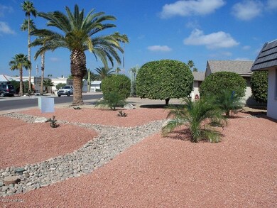 4 DriftwoodLScape 016