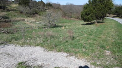 0 Joe Bald unit 60047377, Kimberling City, MO 65686 - photo 6