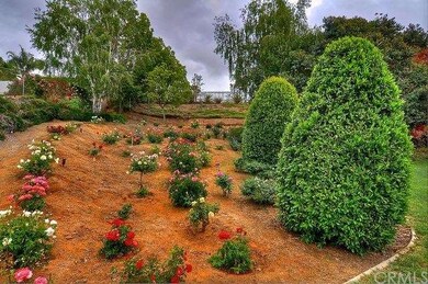 Over 100 different rose bushes in addition to many