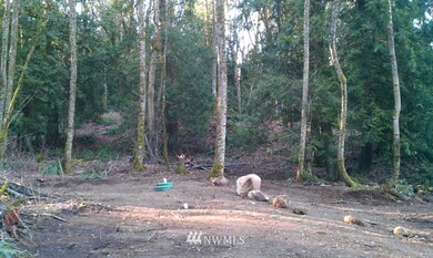 1852 Squalicum Mountain Rd, Bellingham, WA 98226 - photo 2