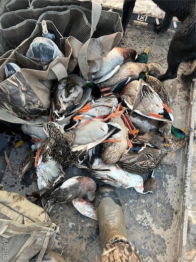 0 Highway P unit MIS25062383, New Madrid, MO 63869 - photo 7