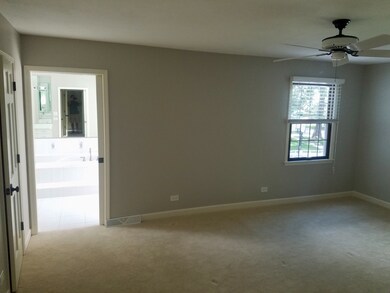 2029 Dichtl Ct, Naperville, IL 60565 - photo 3