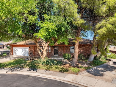 2-web-or-mls-1666 Cinnamon Circle (2)